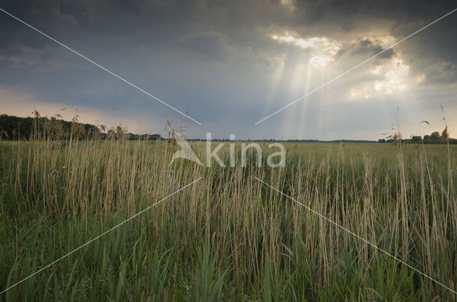 Haulerpolder