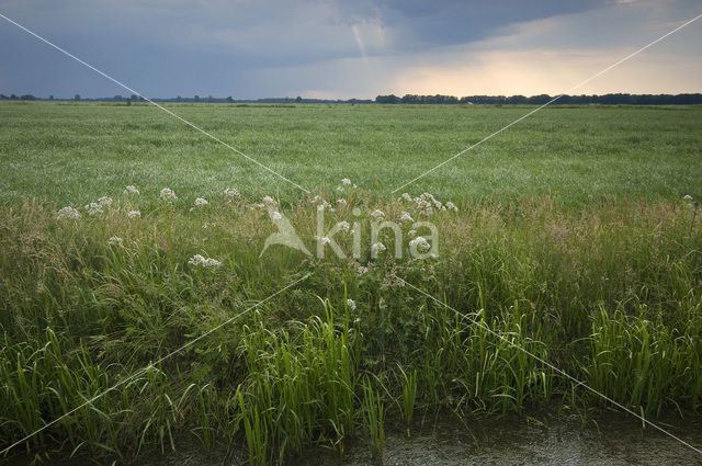 Haulerpolder