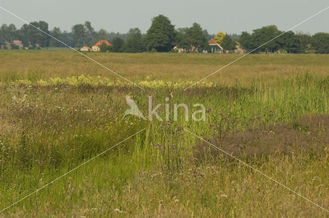 Haulerpolder