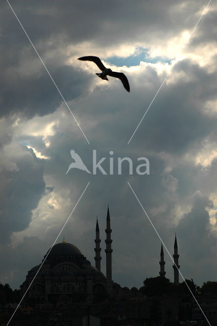 Istanbul