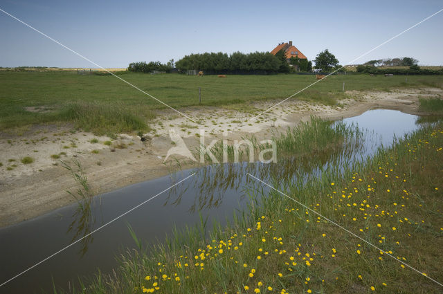 Lage land van Texel