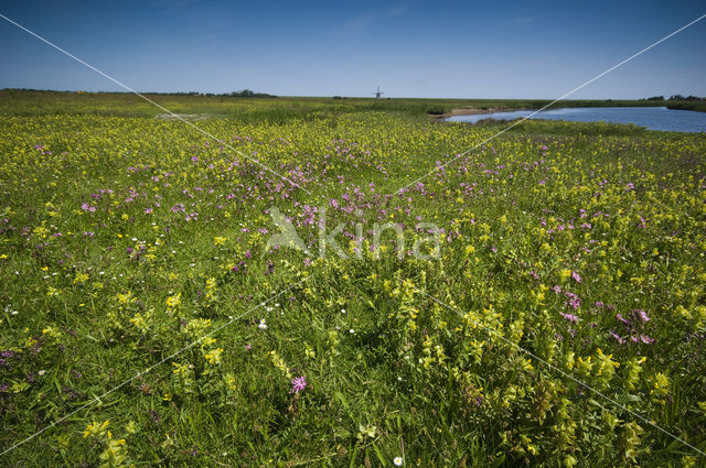 Lage land van Texel