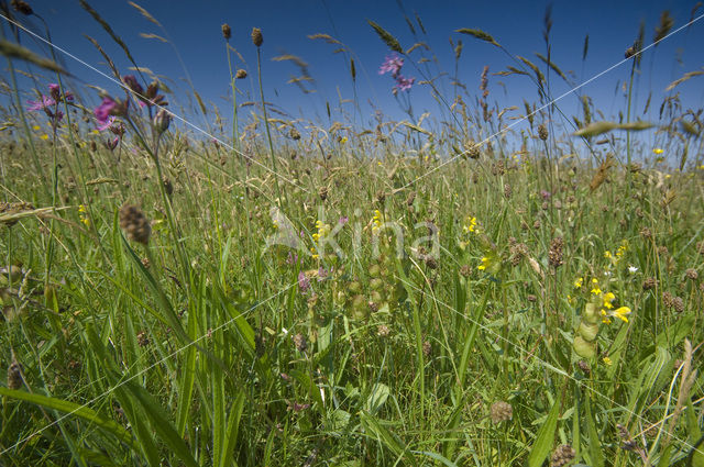 Lage land van Texel