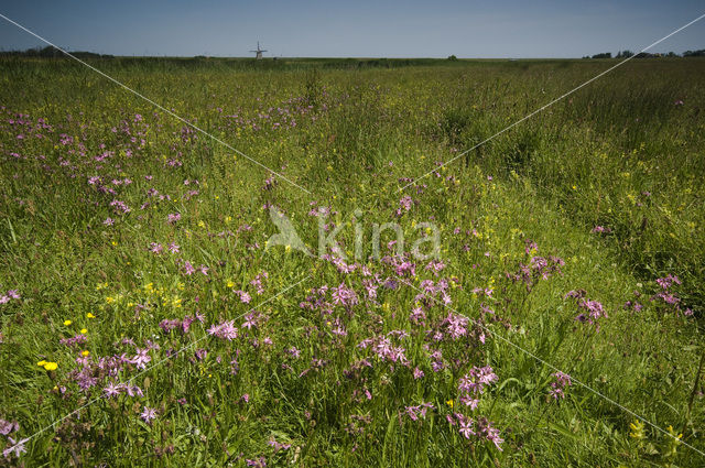 Lage land van Texel