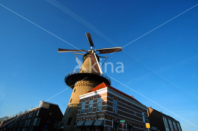 Molen Kyck Over Den Dyck