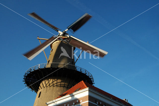 Molen Kyck Over Den Dyck