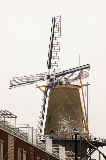 Molen Kyck Over Den Dyck