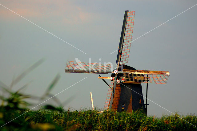 Windmills