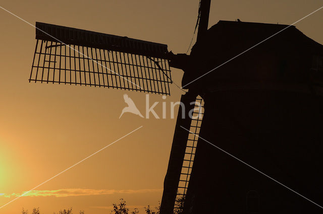 Windmills