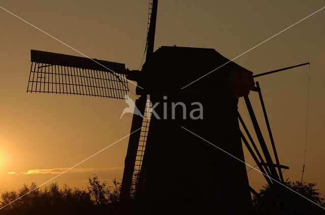 Windmills