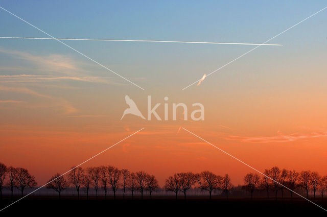 Nationaal Park de Biesbosch