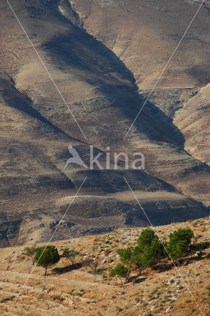 Mount Nebo