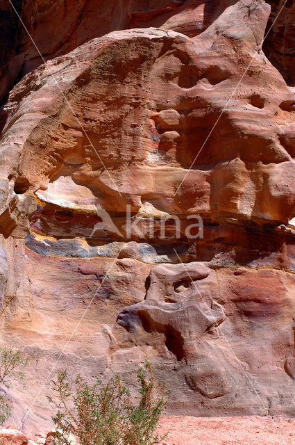 Petra