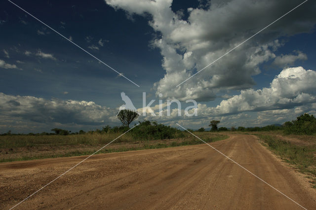 Queen Elizabeth National Park