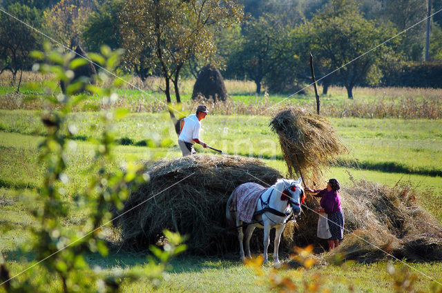 Romania