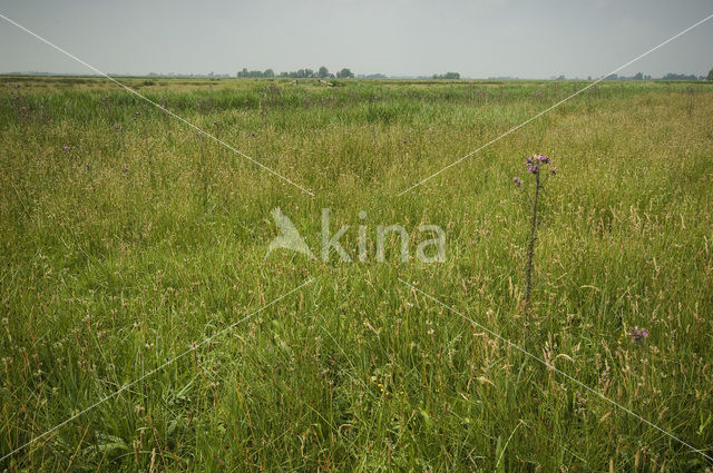 Waterland Oost