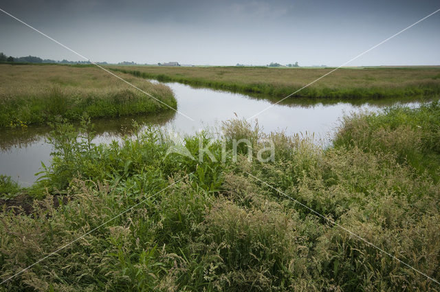 Waterland Oost