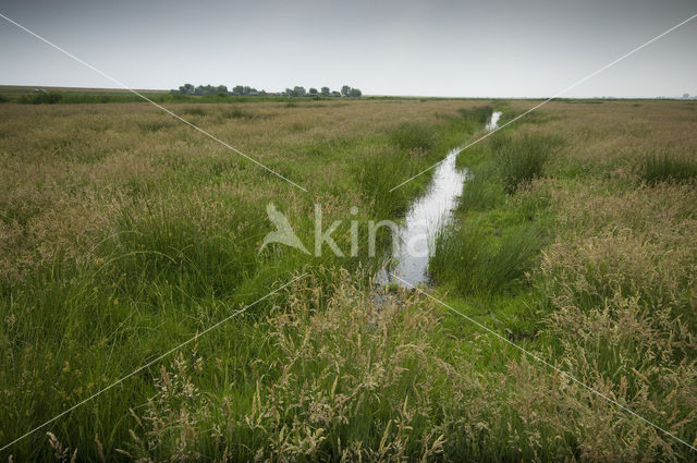 Waterland Oost