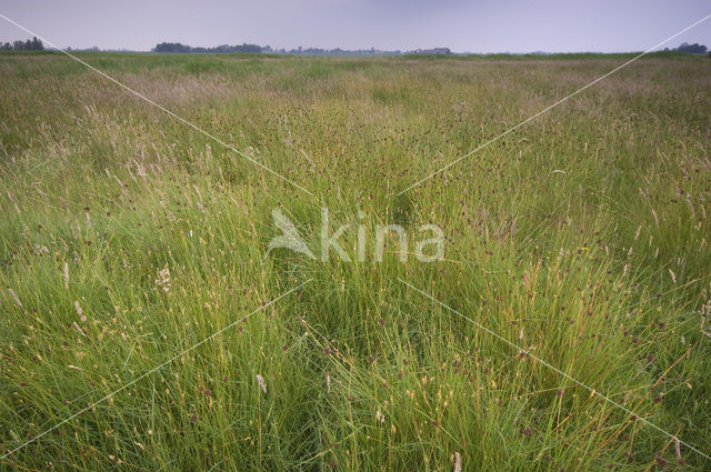 Waterland Oost