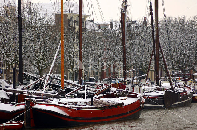 Wolwevershaven