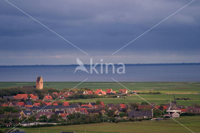 Ameland