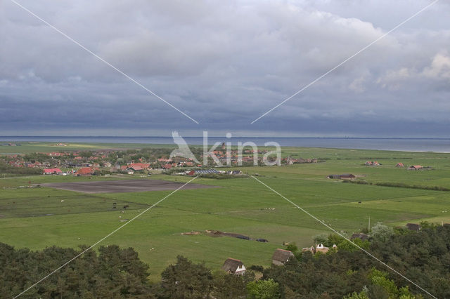 Ameland