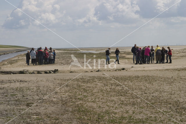 Ameland