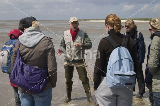 Ameland