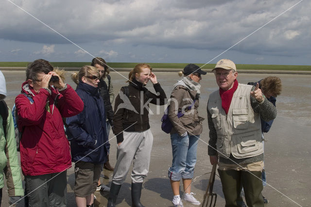 Ameland