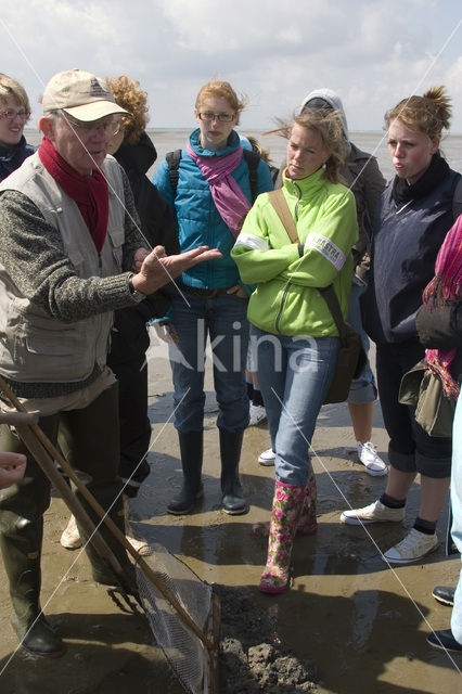 Ameland