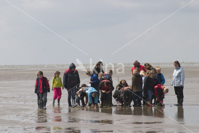 Ameland