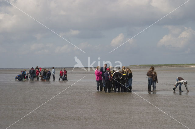 Ameland