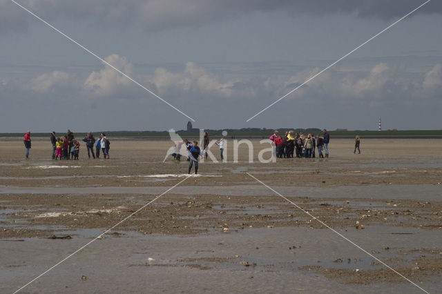 Ameland