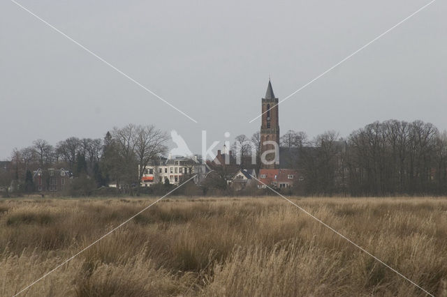 Amerongse Bovenpolder