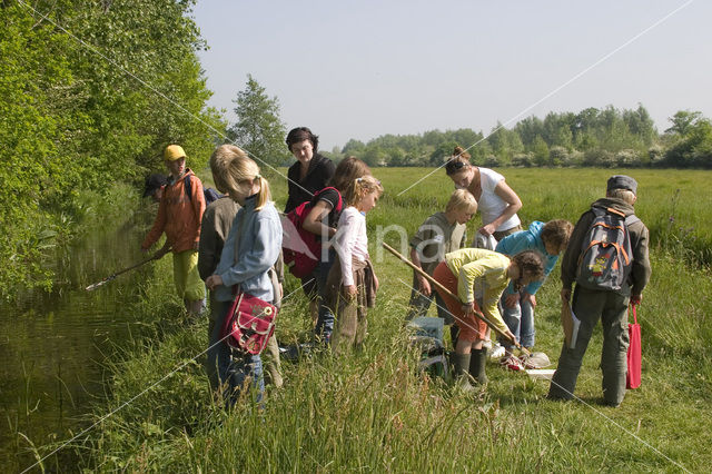 Bolgerijen en Autena