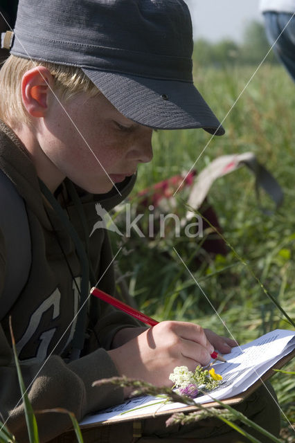 Bolgerijen en Autena