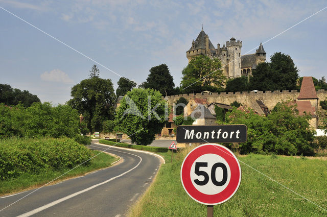 Chateau de Montfort