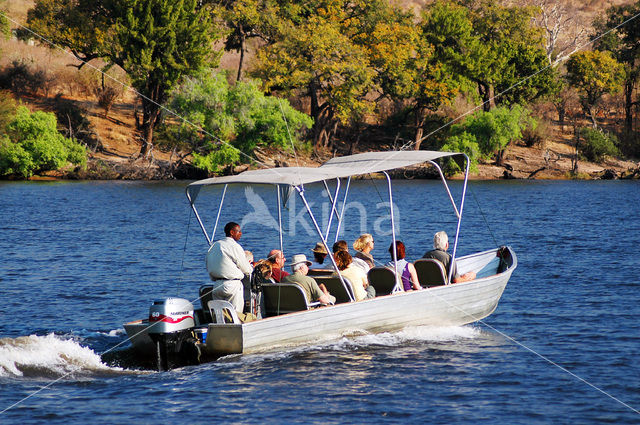 Chobe national park