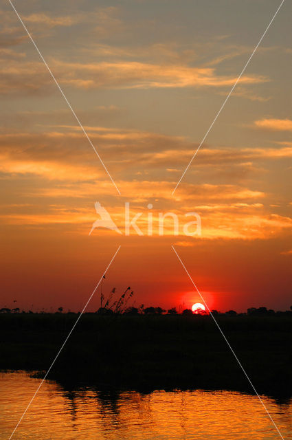 Chobe national park