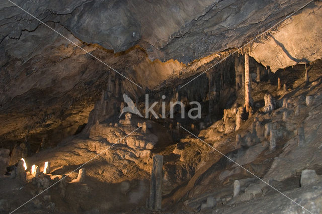 Caves of Han-sur-Lesse