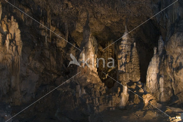 Caves of Han-sur-Lesse