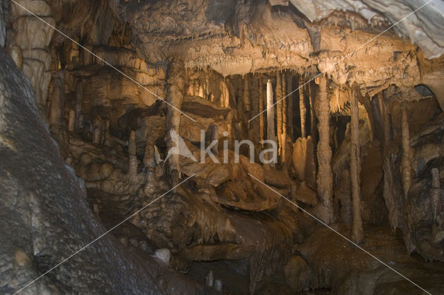 Grotten van Han