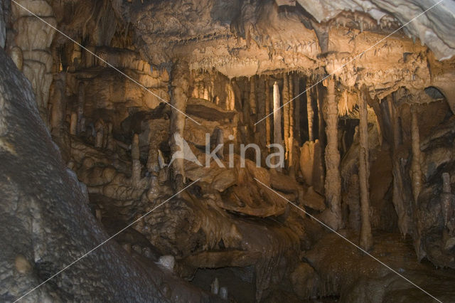 Caves of Han-sur-Lesse