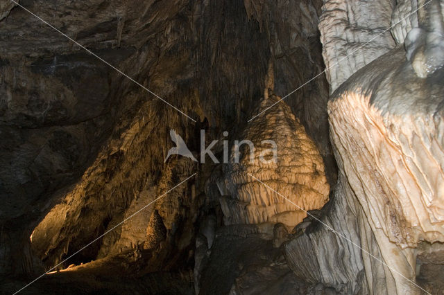 Caves of Han-sur-Lesse