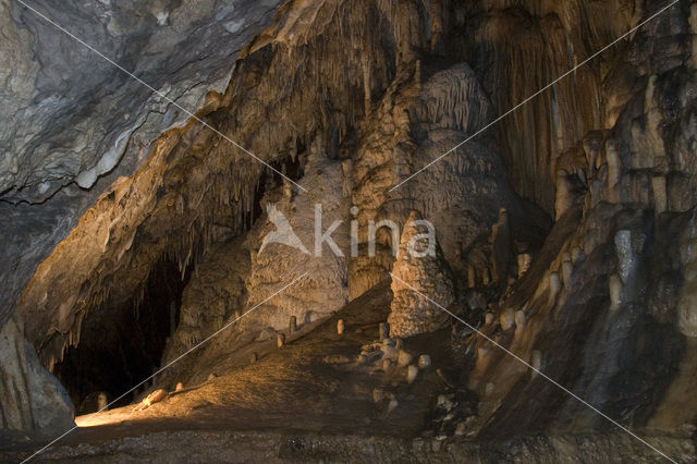 Caves of Han-sur-Lesse