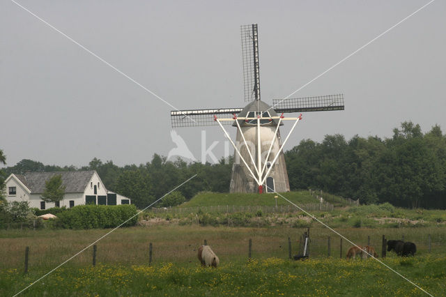 Hernense Molen