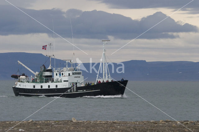 Isfjord