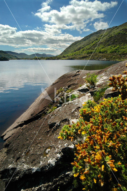 Killarney National Park