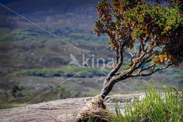 Killarney National Park