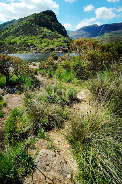 Killarney National Park